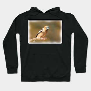 Kernbeisser Hoodie